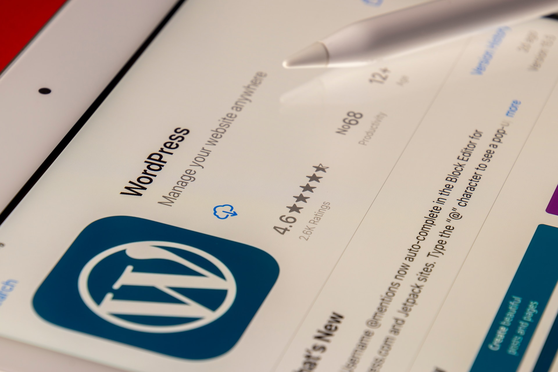 Quais são os Melhores Temas Gratuitos para WordPress